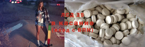 индика Елабуга