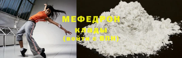 индика Елабуга