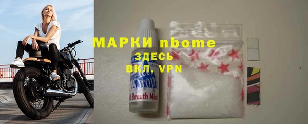 дмт Ельня