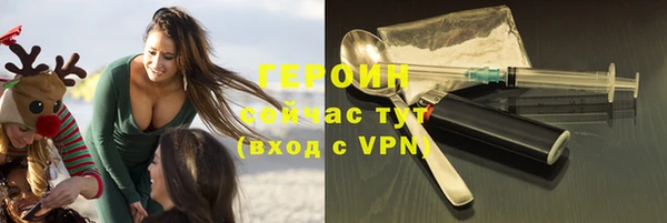 индика Елабуга