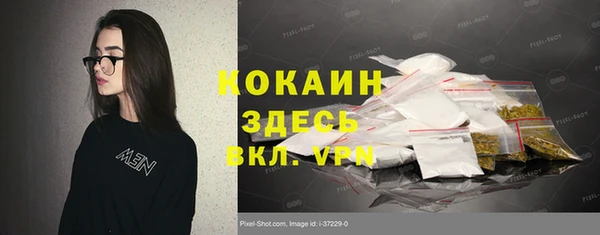 индика Елабуга