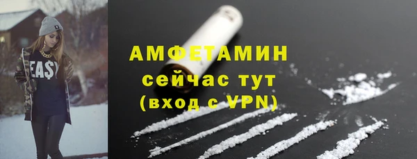 дмт Ельня
