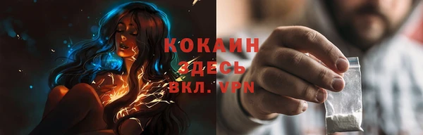 дмт Ельня