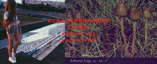 первитин Бикин