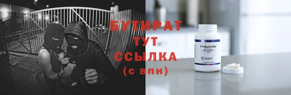 индика Елабуга