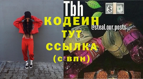 индика Елабуга