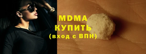 индика Елабуга