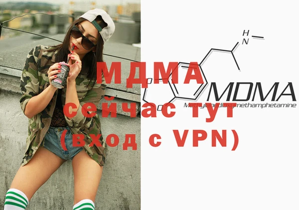 индика Елабуга