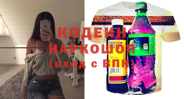 индика Елабуга
