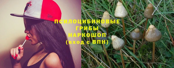 spice Дмитровск
