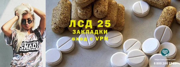 индика Елабуга