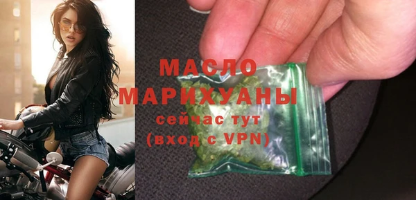 дмт Ельня