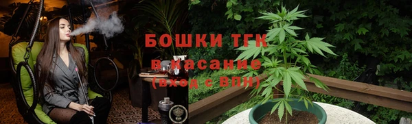 дмт Ельня