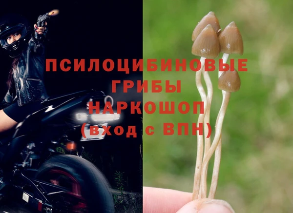 прущий лед Елизово