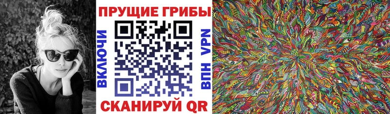 Галлюциногенные грибы Psilocybine cubensis  купить закладку  Кимовск 